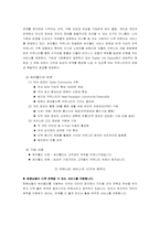 [조직문화] sk커뮤니케이션(싸이월드)의 조직문화-4
