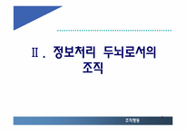 [조직행동] 두뇌로서의 조직-7
