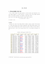 [재무관리] 인터넷포털 기업가치평가 - `(주)다음커뮤니케이션`의 가치평가-5