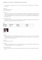[경영학원론] 제품의 라이프 싸이클에 따른 기업의 광고-마케팅전략-11