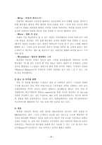 [국제경영전략] Starwood그룹(스타우드그룹)의 경영전략-9