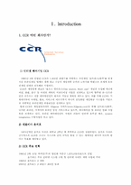 [마케팅] CCR RF온라인게임마케팅전략-3