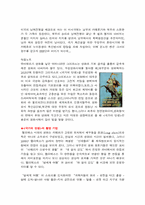그리피스의 영화 『국가의 탄생』에 대해-2