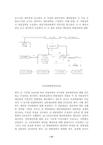 [비교행정론] 독일의 행정환경-16