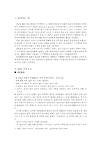 수수께끼 연구 레포트-3