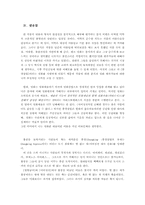 [영화분석] 중경삼림 작품분석-8
