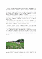 농요에 대해서 레포트-11
