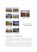 [환경문제] 식량과 환경-13