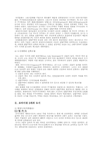 [도시계획사] 로마 - 론디이움, 팀가드, 폼페이-4