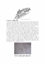 [도시공학-단지계획] 살기좋은아파트 국내외 사례 조사-9