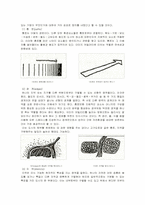 도시설계이론 레포트-16
