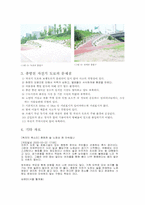 [도시계획론] 중랑천 자전거도로의 문제점파악-4