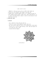 [도시계획사] 르네상스시대 이상도시-6