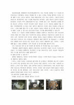 [동물실험에 대한 나의찬성의견]동물실험은 계속 되어야 하는가-6