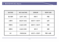 [마케팅] BCG Matrix 와 GE Matrix 사례-13