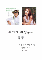 [마케팅조사론] 초저가화장품의 마케팅조사-1