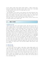 저출산의 원인, 문제점 및 정책적 대책방안-5
