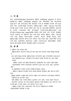 [국제경영] 플랜트수출(Plant export)의 턴키프로젝트(Turnkey Project)에 대해서-2