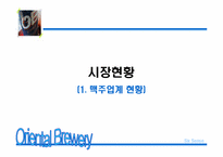 신제품 OB맥주 마케팅기획서-3