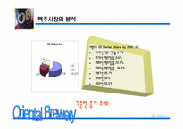신제품 OB맥주 마케팅기획서-5