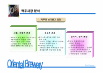 신제품 OB맥주 마케팅기획서-6