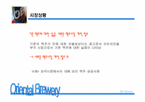 신제품 OB맥주 마케팅기획서-9