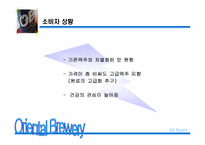 신제품 OB맥주 마케팅기획서-10