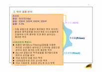 [마케팅기획서] 하이트맥주 마케팅기획서-19