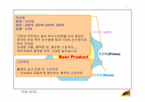 [마케팅기획서] 하이트맥주 마케팅기획서-20