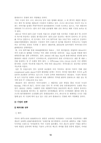 [서비스마케팅] 아이리버 마케팅성공사례-12