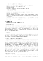 아시아나항공의 성공사례-14