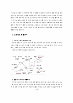외식업체 마르쉐 경영분석 및 마케팅사례분석-15