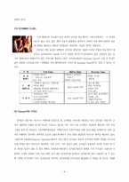 싱가폴항공의 서비스사례-11