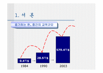 [행정학] 중국의 전자정부-4