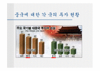 [행정학] 중국의 전자정부-5
