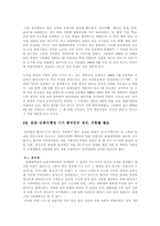 문화대혁명 레포트-3