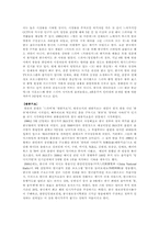 한류열풍 레포트-4