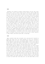 한류열풍 레포트-5