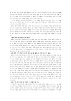 한류열풍 레포트-10