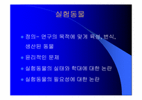 [동물실험]동물 실험에 대한 나의 생각-3