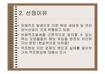 [적조]적조에 대한 이해와 대책-3