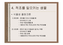[적조]적조에 대한 이해와 대책-5