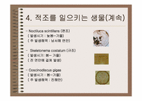 [적조]적조에 대한 이해와 대책-7