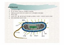 [파워포인트]토양생물군의 구성성분-3