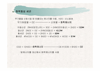 [파워포인트]토양생물군의 구성성분-7
