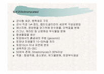 [파워포인트]토양생물군의 구성성분-11