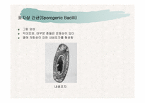 [파워포인트]토양생물군의 구성성분-12