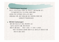 [파워포인트]토양생물군의 구성성분-18