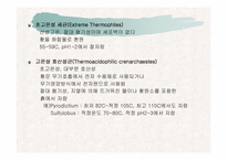 [파워포인트]토양생물군의 구성성분-19