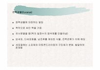 [파워포인트]토양생물군의 구성성분-20